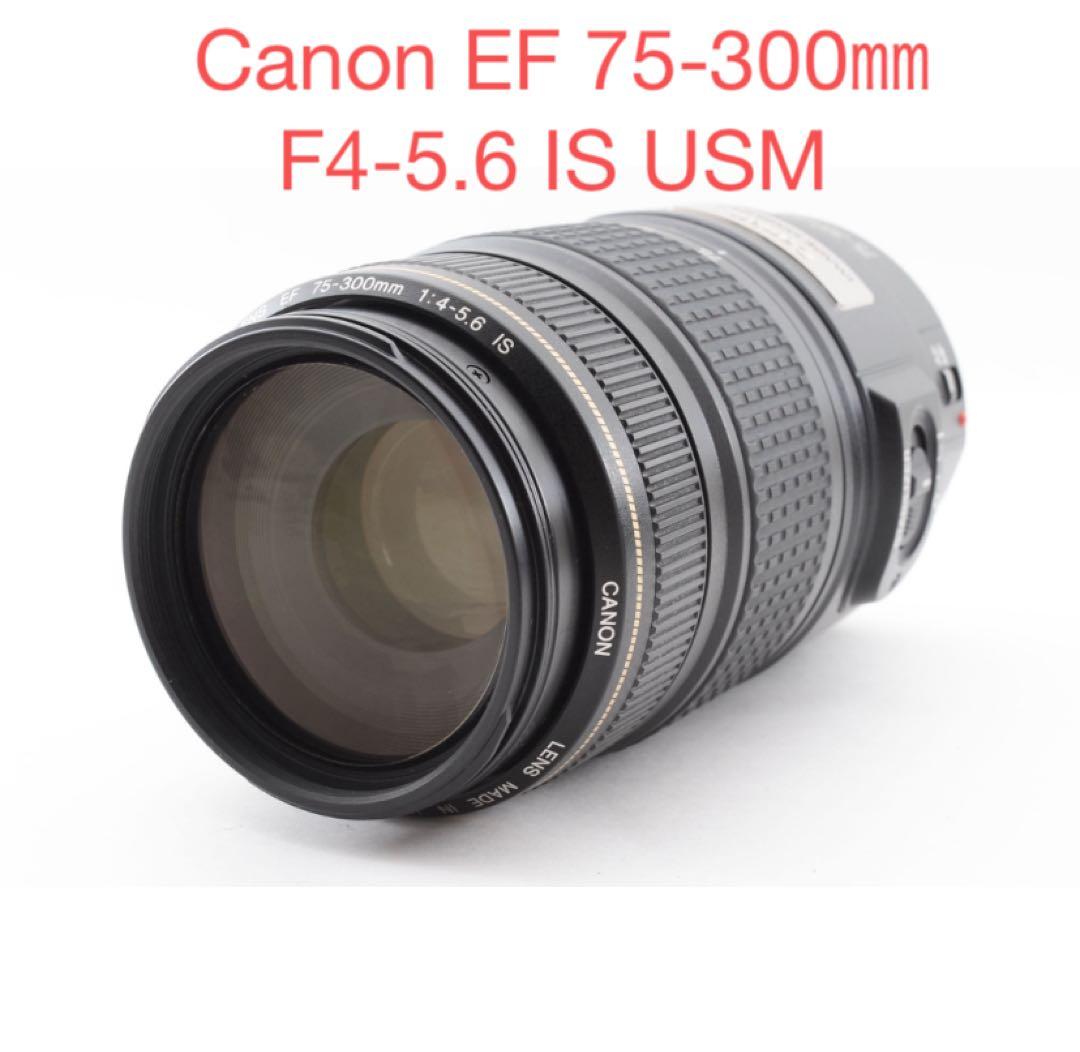 デジタル一眼レフカメラCanon EF 75-300㎜F4-5.6 IS USM
