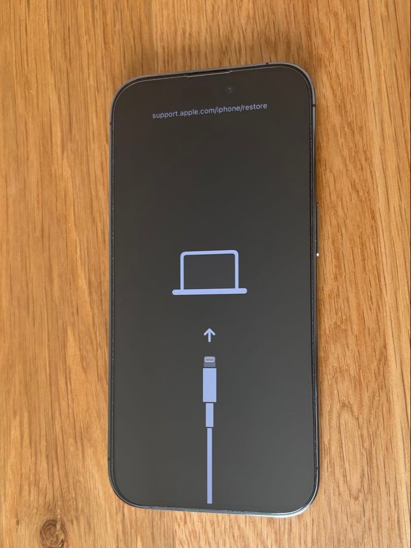 【ジャンク】Apple iPhone 14 Pro ディープパープル 本体のみ