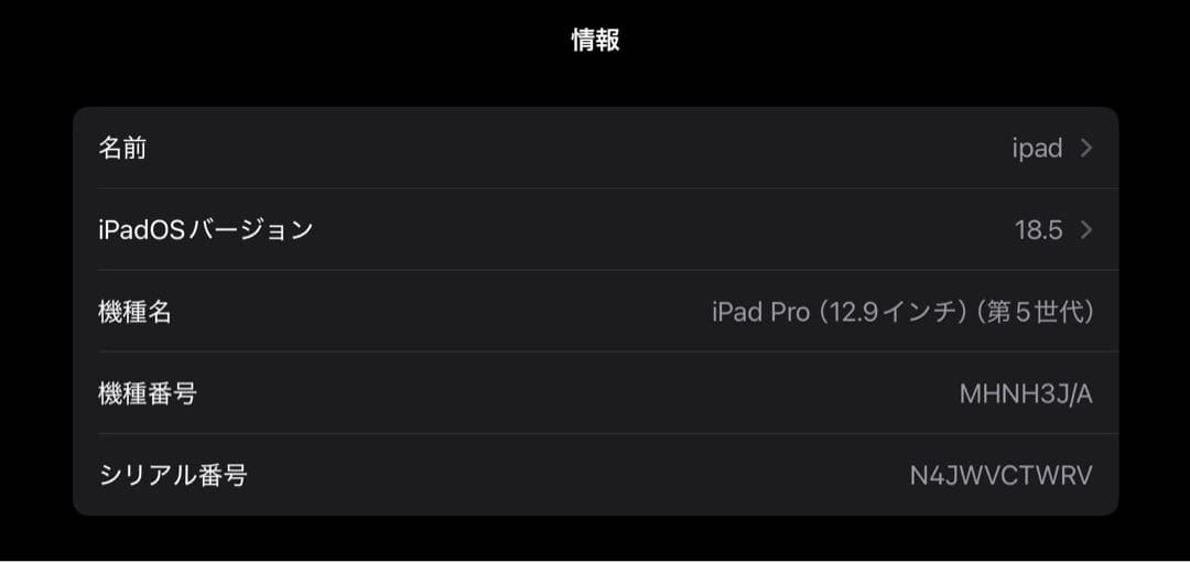 M1 iPad Pro 12.9インチ(第5世代) 256GB