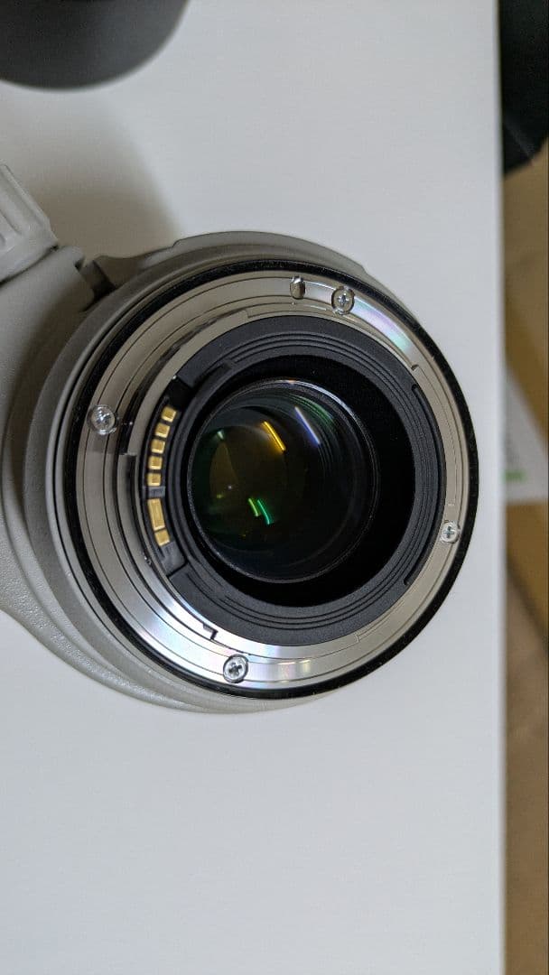 レンズ(ズーム) Canon EF 70-300mm f/4-5.6 L IS USM