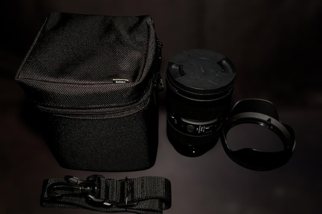 Sigma 24 - 70mm DG DN Art キャリングケース付き