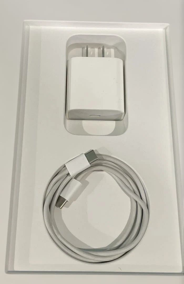 iPad Pro12.9 3世代 256GB Apple Pencilセット