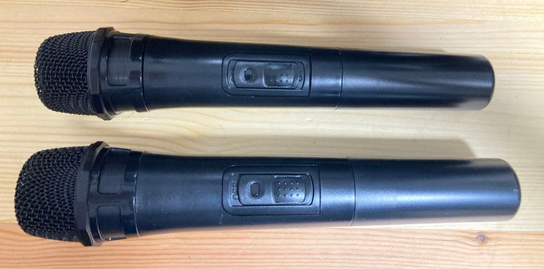 ☆超激レア！！ Euterpy スピーカー Q101H カラオケ 路上ライブ