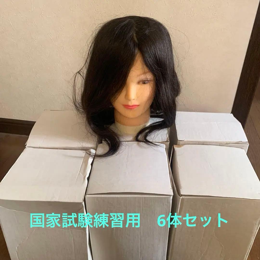 カットウィッグ　美容師試験