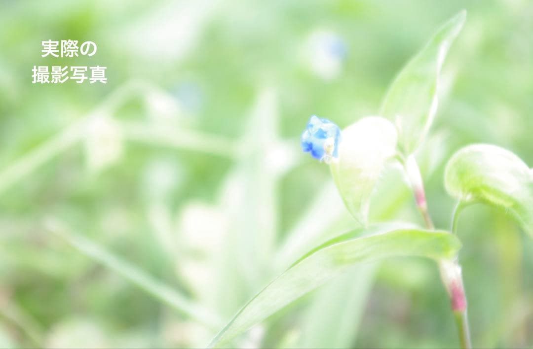 【ペンタックス/PENTAX】デジタル一眼レフカメラkx標準レンズ18-55mm