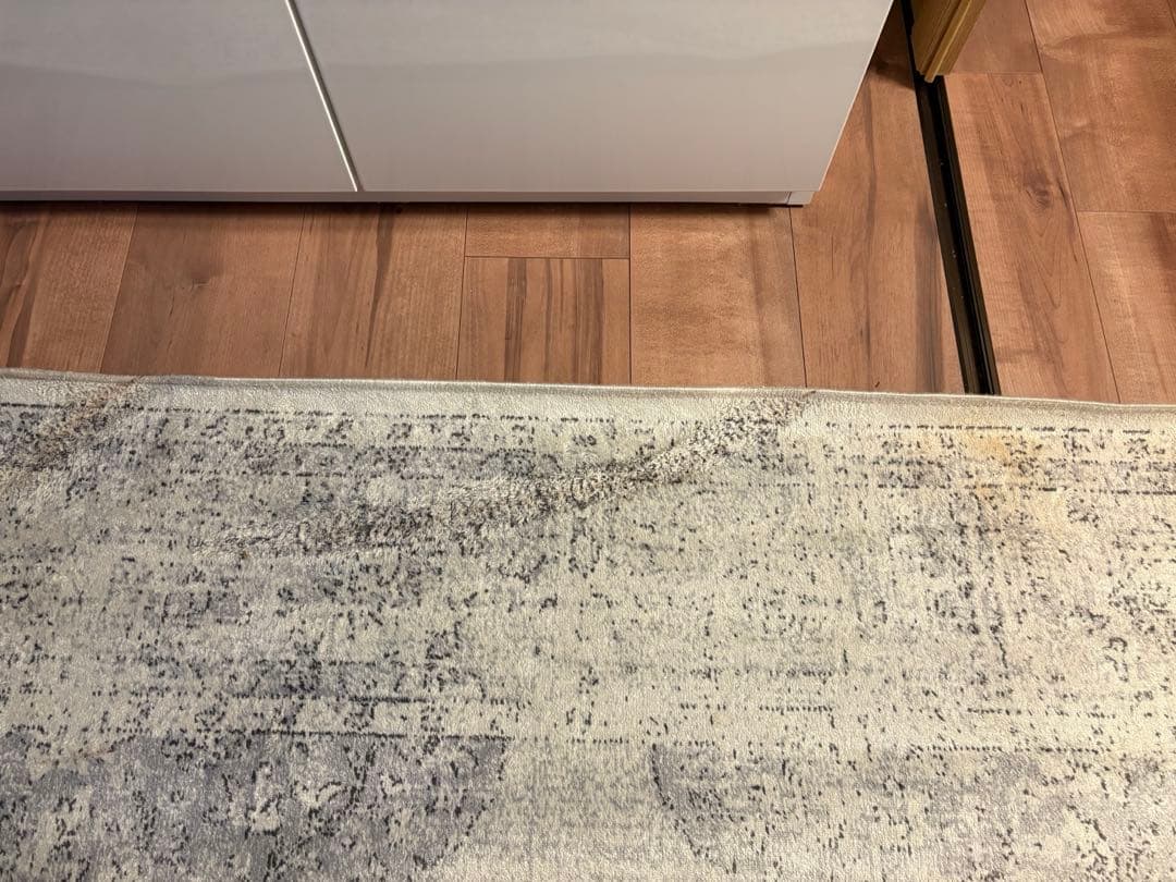 zara  ヴィンテージスタイルラグ　sss