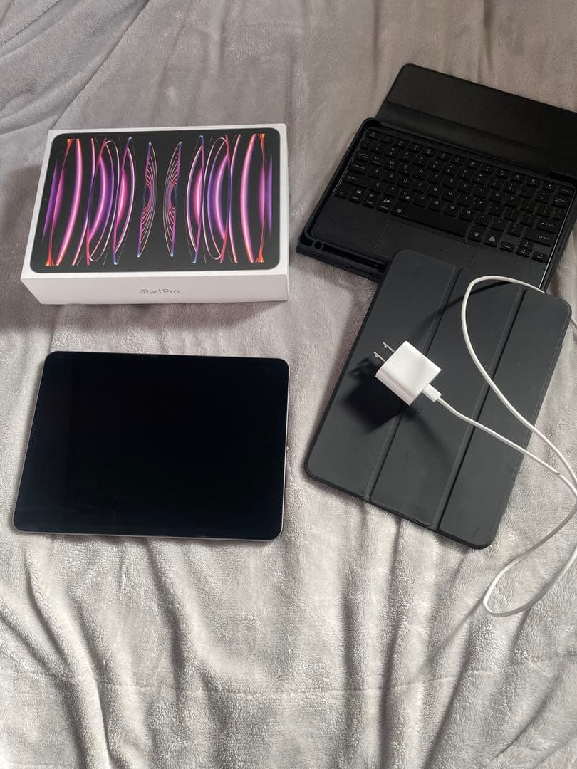 iPad Pro 第四世代256GB 有線LAN、有線ケーブル付