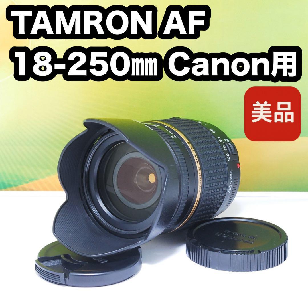 美品✨TAMRON AF 18-250mm F3.5-6.3 A18 Canon