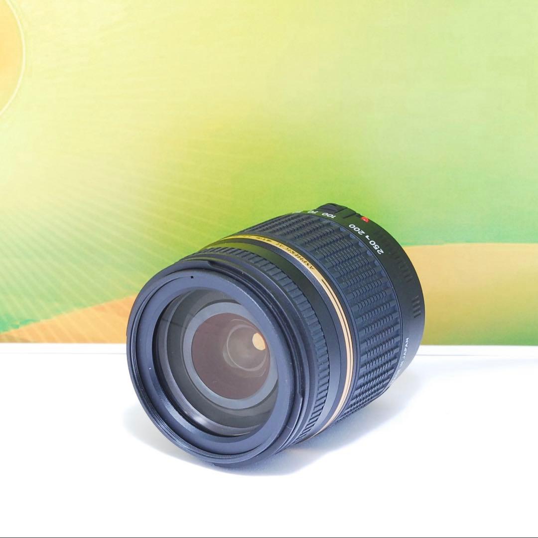 美品✨TAMRON AF 18-250mm F3.5-6.3 A18 Canon