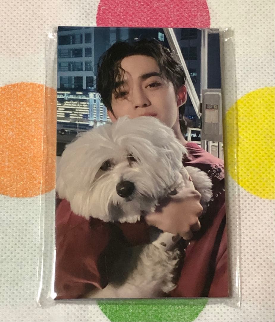 新品未開封 SEVENTEEN FML LOVE 会場限定 トレカ コンプリート