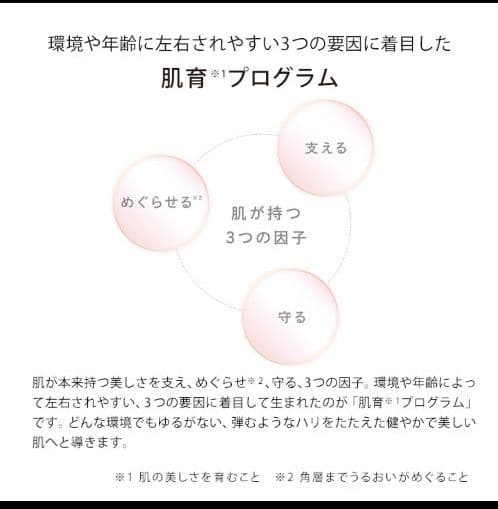 美品！MTG リファ ビューテックレイズ RF美顔器