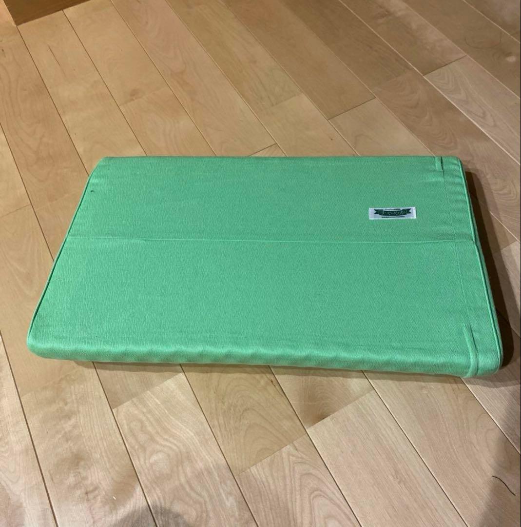 ヘルスウェーブゴールド　すややか　DCDX &すややか枕＆専用シーツ　送料込み