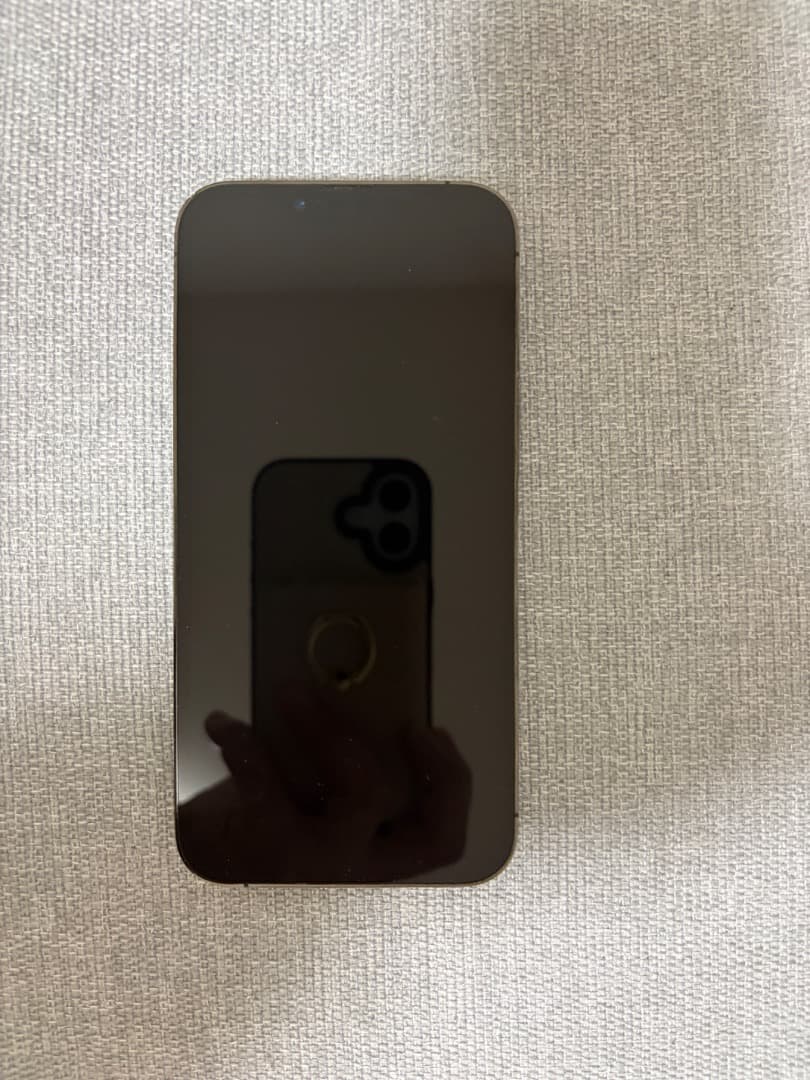 【動作完璧/値下げ】iPhone13 Pro 128GB 海外版 シャッター音無