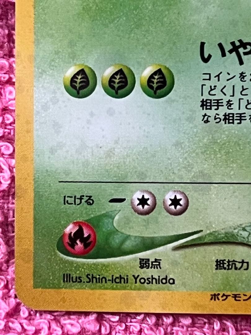 わるいフシギバナ　旧裏　トレーナーズ　プロモ