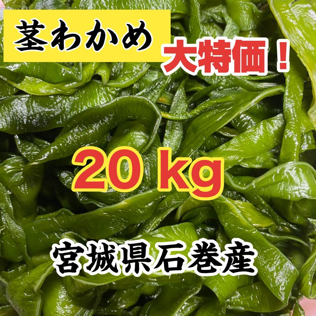茎わかめ 宮城県石巻産