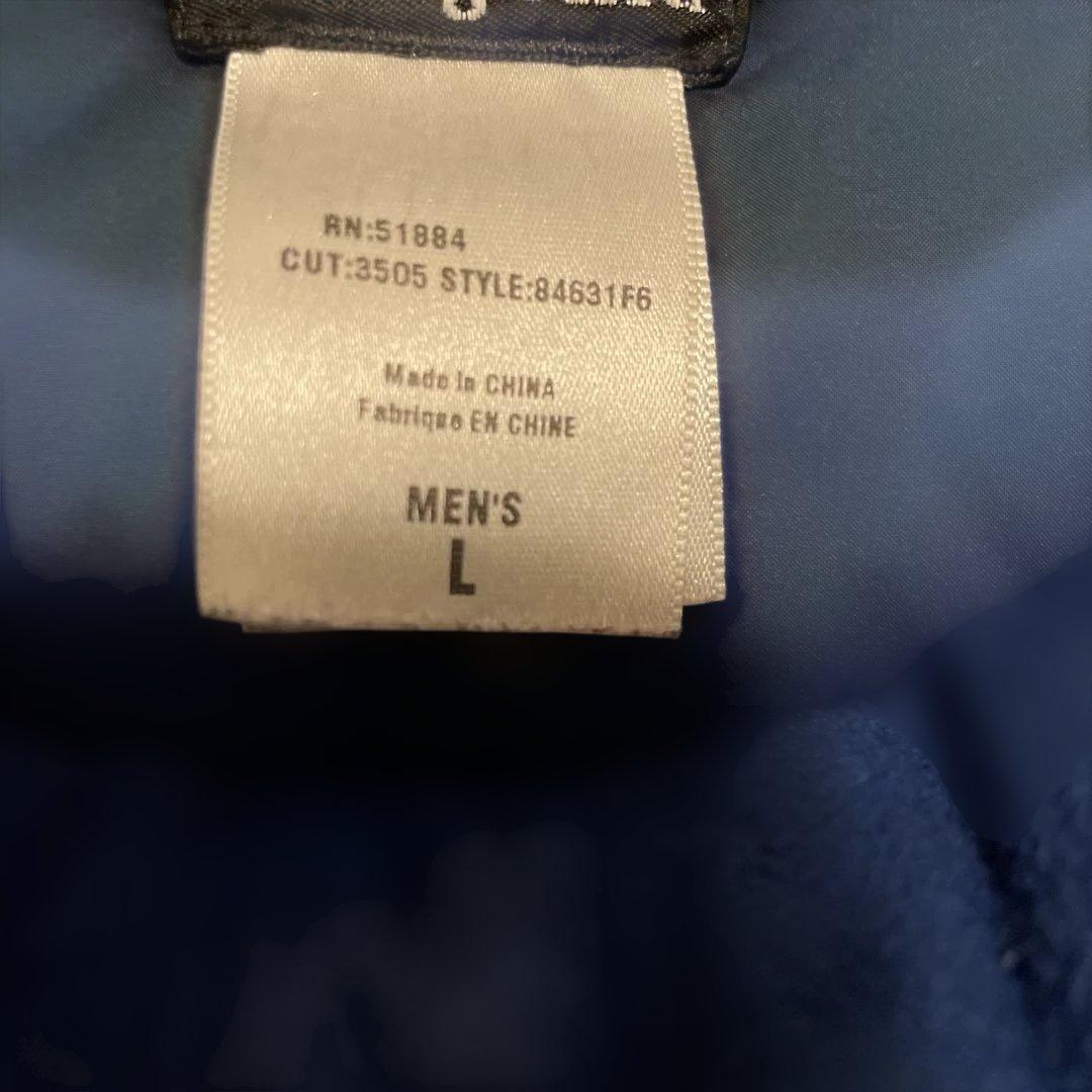 patagonia ダウンベスト