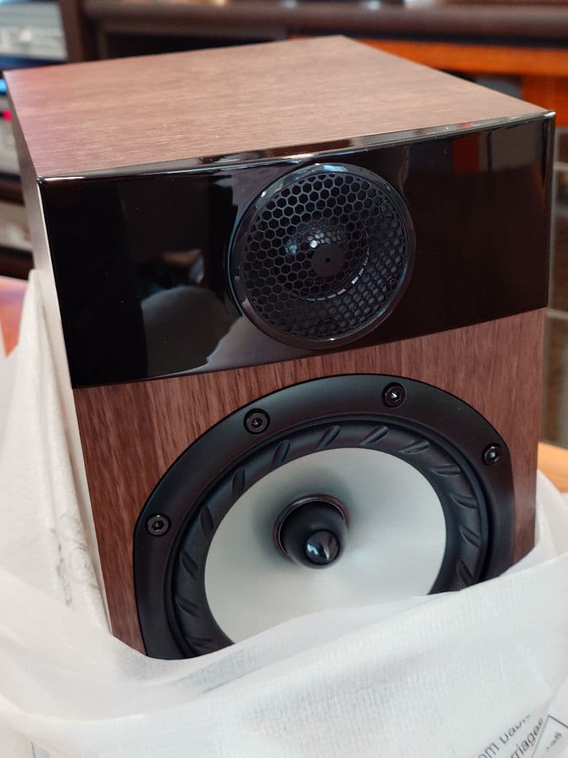 ファインオーディオ　FYNE AUDIO F３００ ウォールナット