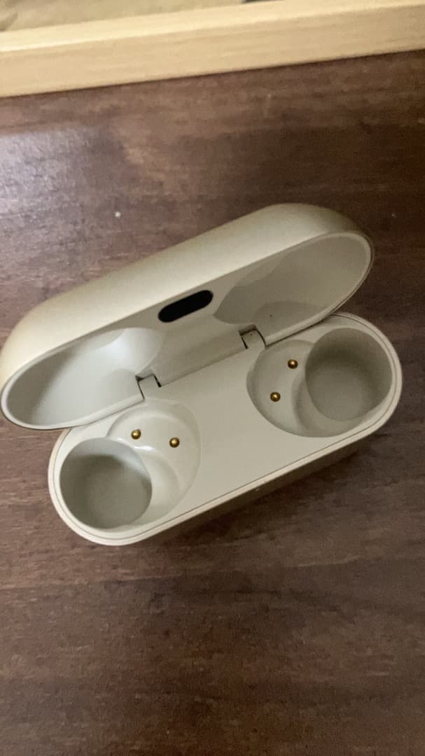 Technics EAH-AZ100 （シャンパンゴールド）充電ケース