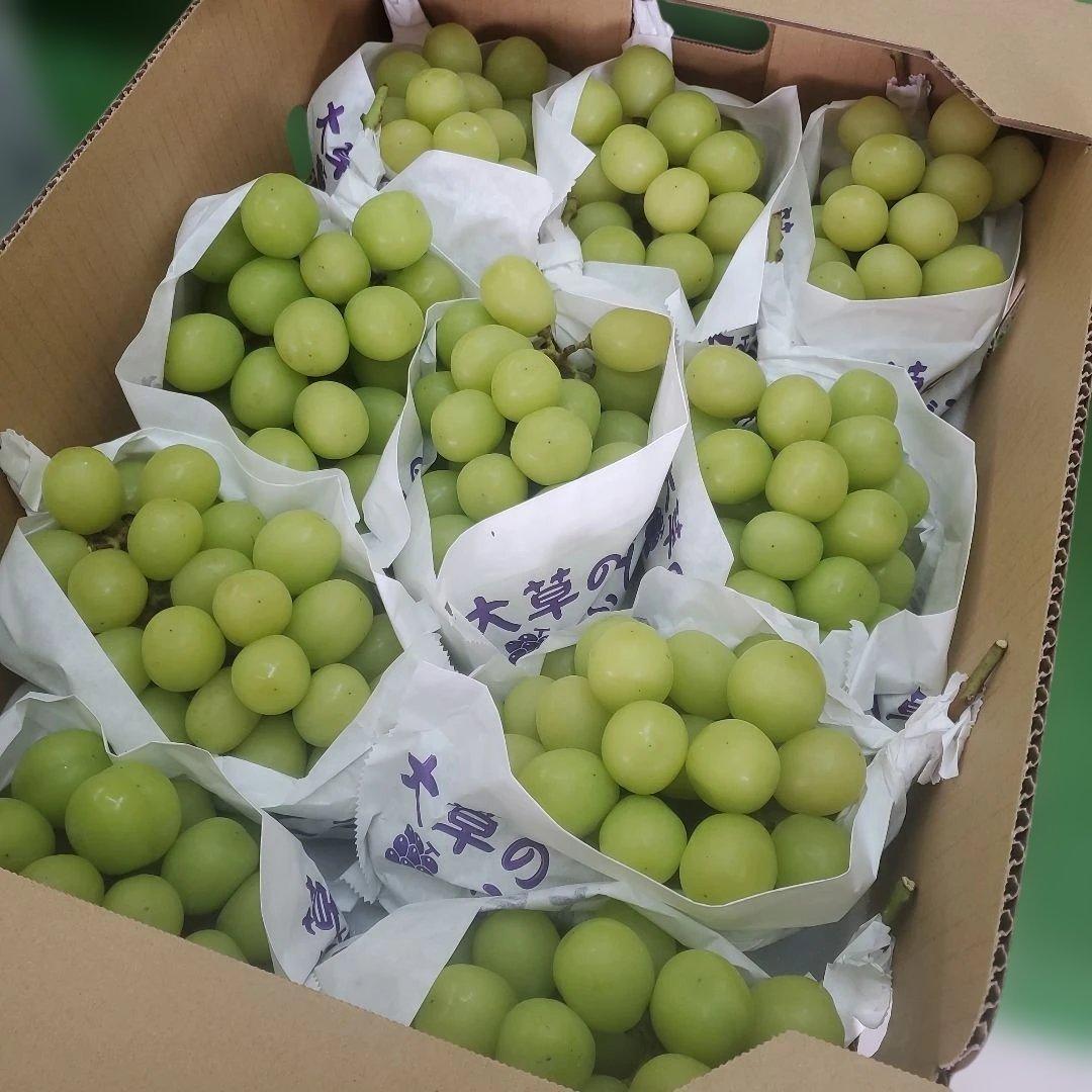 2️⃣ 山梨県産 シャインマスカット １０房入り 箱込み5.8キロ