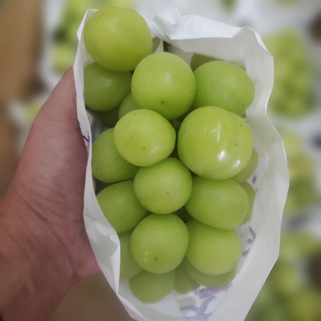 2️⃣ 山梨県産 シャインマスカット １０房入り 箱込み5.8キロ