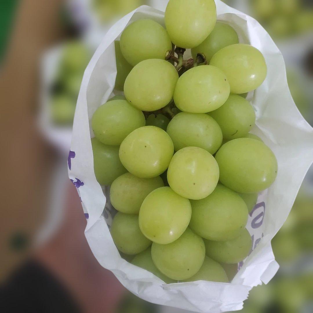 2️⃣ 山梨県産 シャインマスカット １０房入り 箱込み5.8キロ