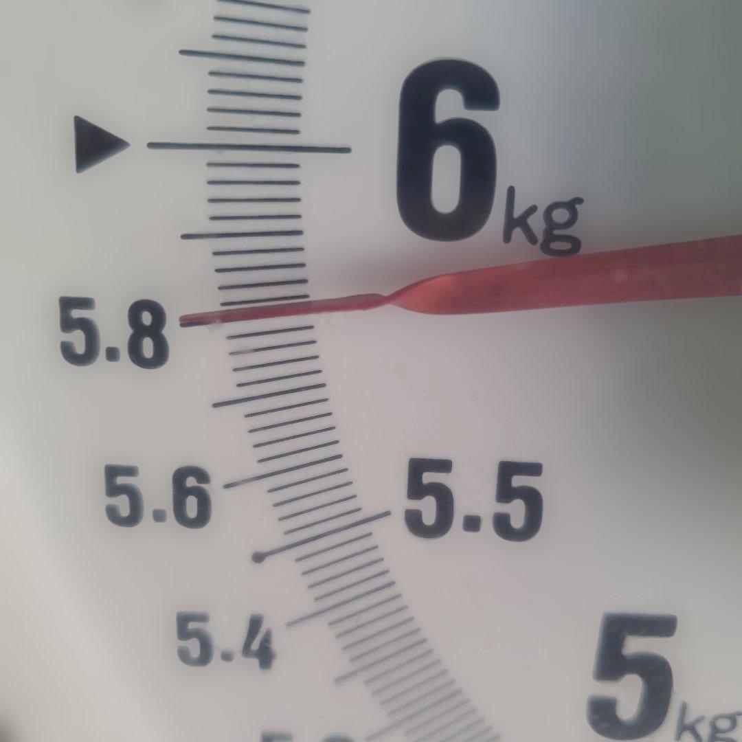 2️⃣ 山梨県産 シャインマスカット １０房入り 箱込み5.8キロ