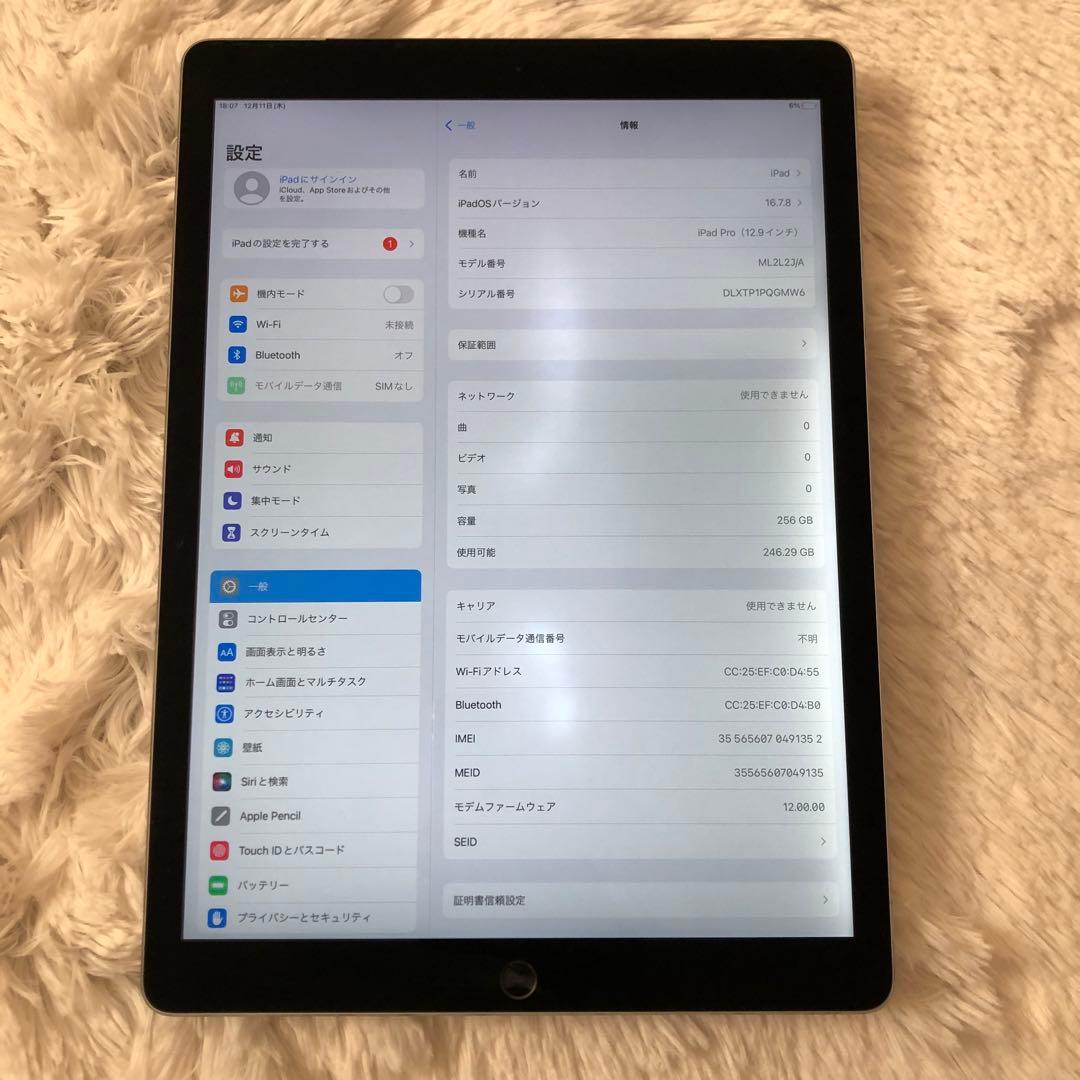 【早い者勝ち】iPad Pro 12.9 第1世代 256GB SIMフリー