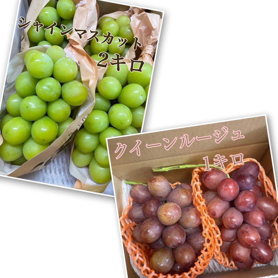 クイーンルージュ　1キロ　/ シャインマスカット、巨峰なども出品中