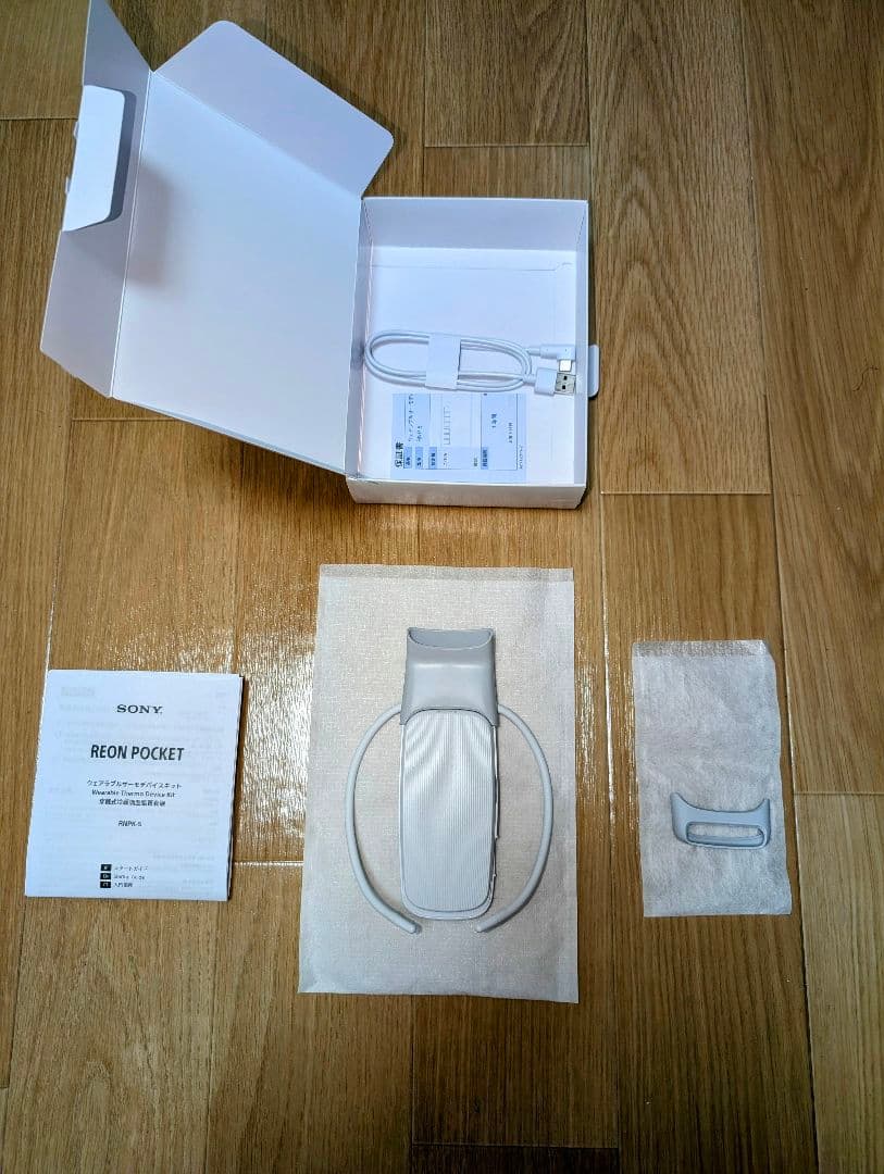 その他 REON POCKET5