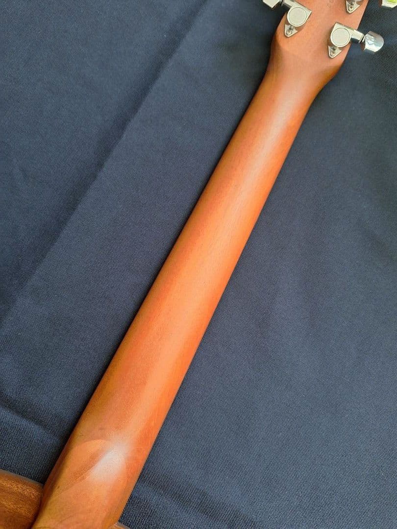 Seagull SM6 Spruce シーガル made in 