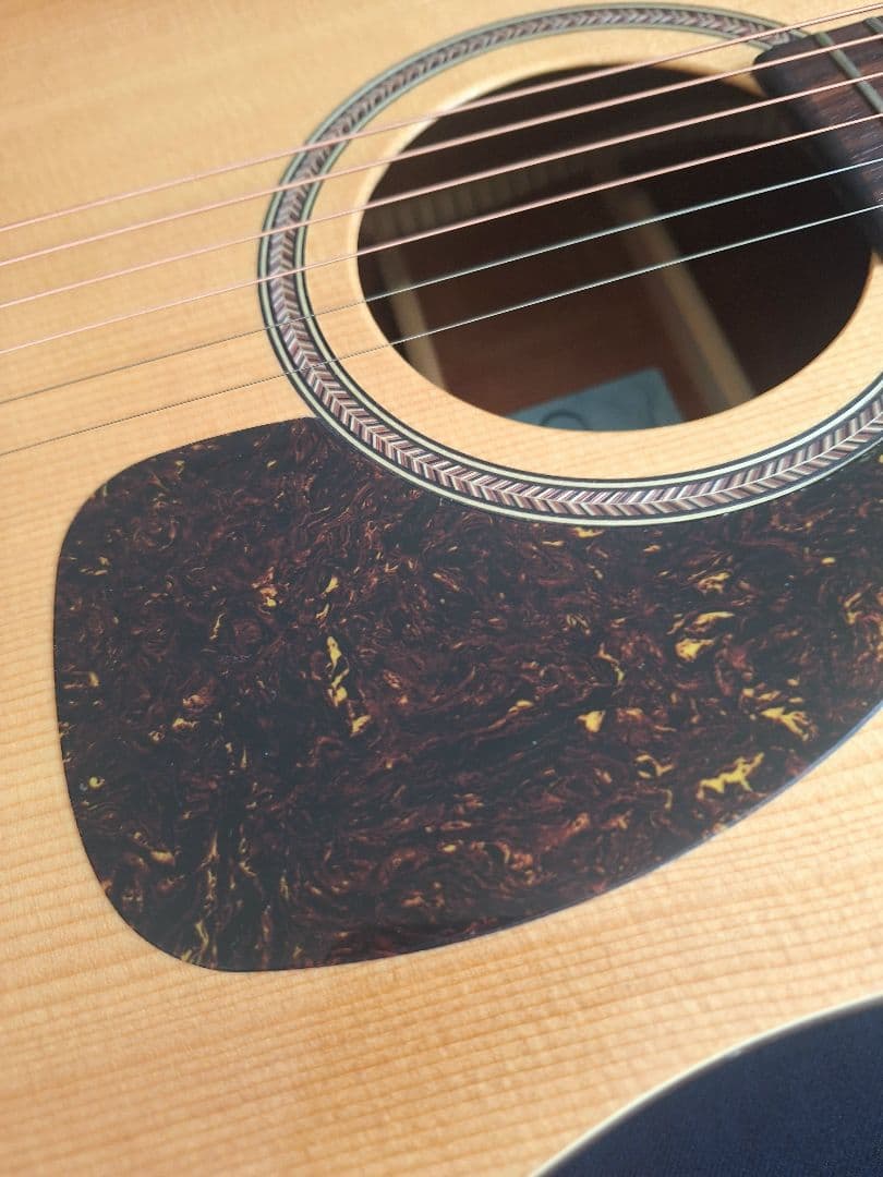 Seagull SM6 Spruce シーガル made in 