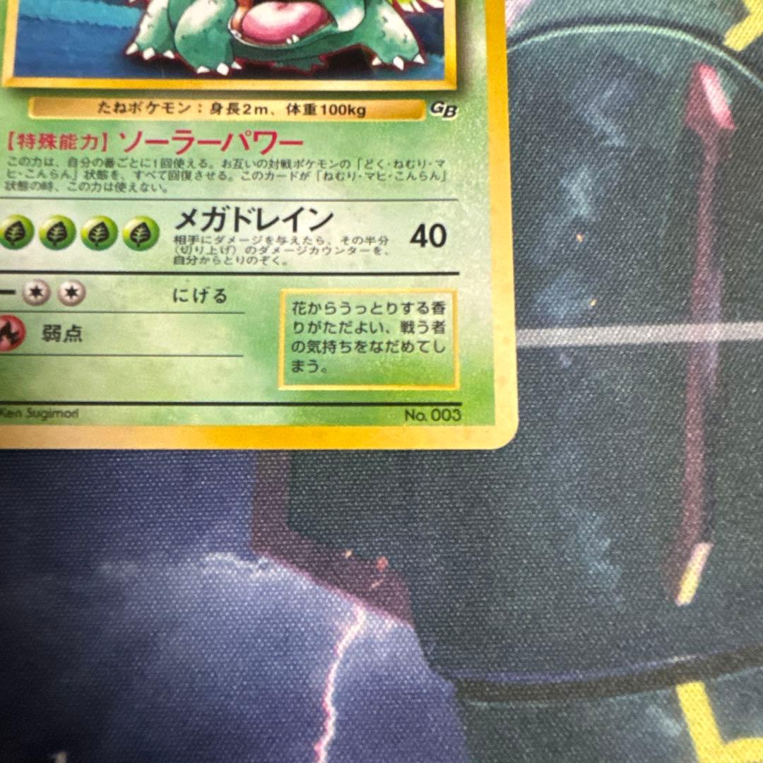 フシギバナ HP100 トレーディングカード　旧裏