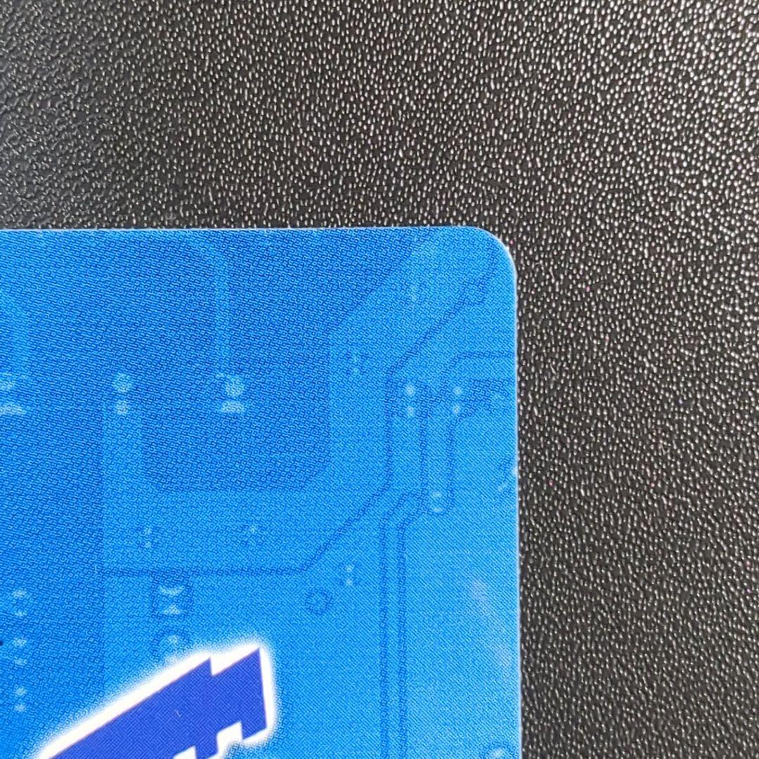 ブルーカード ワンダースワンカラー特典 ブレイブテイマー 225