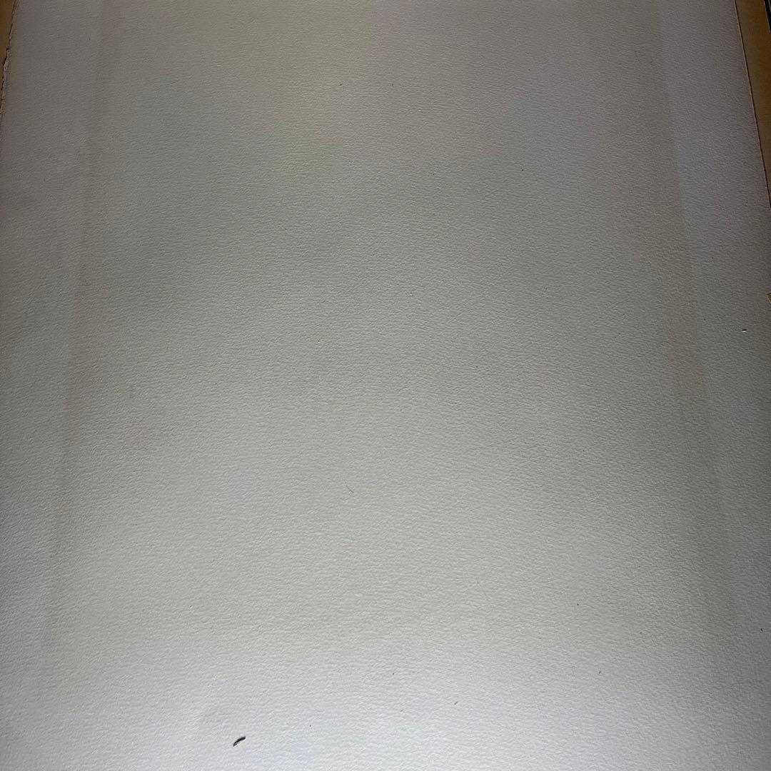 志村立美 日本画 美人画　シリアルナンバー 74/300