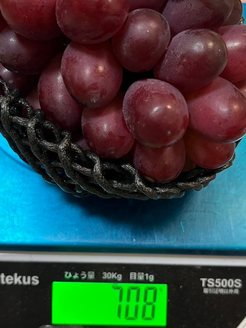 神紅と特選品シャインマスカット