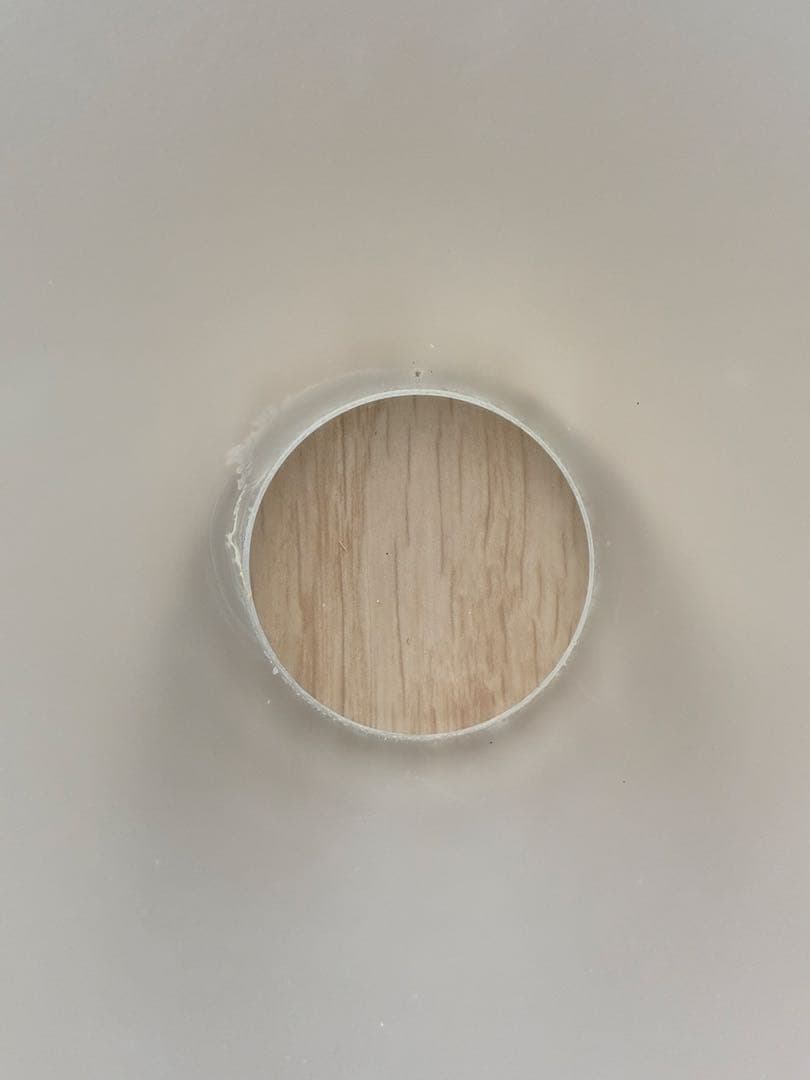 シーリングファンライト　送料込み