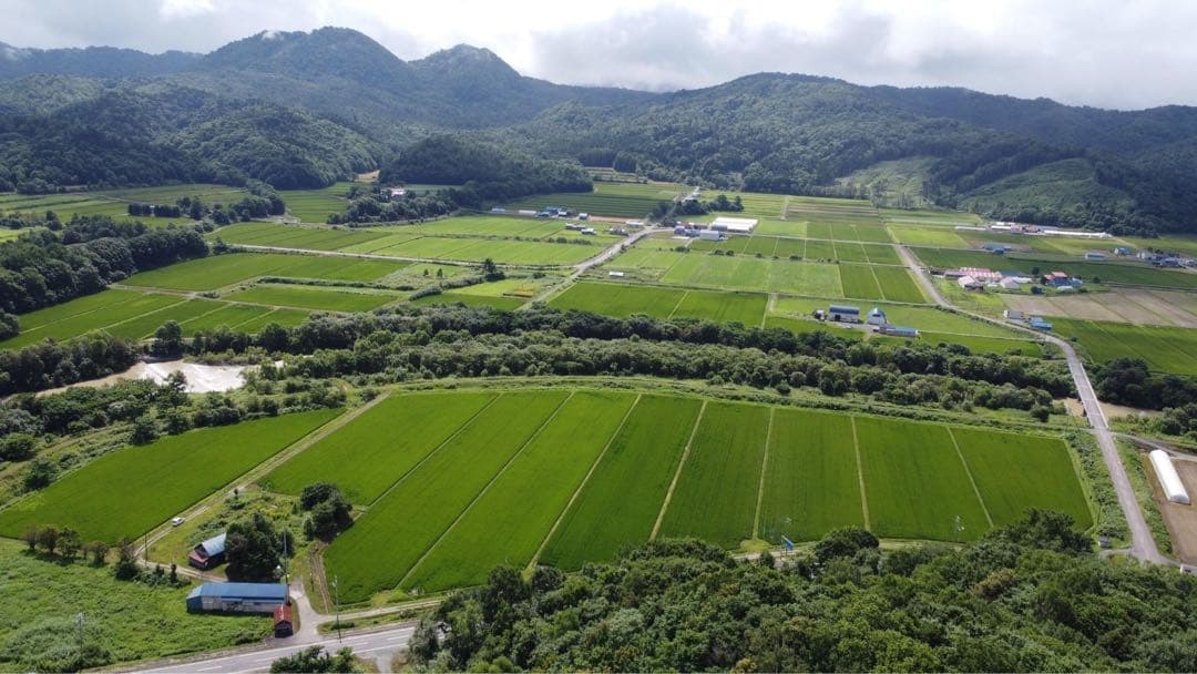 ななつぼし＊北海道産＊農家直送＊送料込み＊白米＊美味しいお