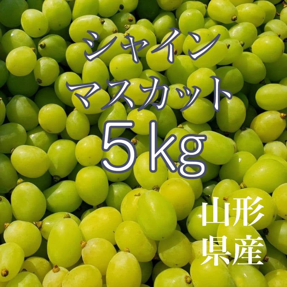 シャインマスカット粒5キロ