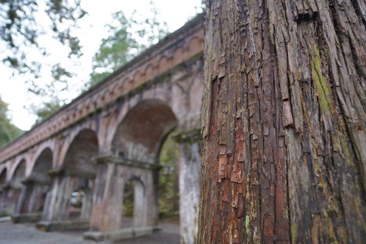 トキナー FiRIN 20mm F2 FE AF ソニーEマウント用