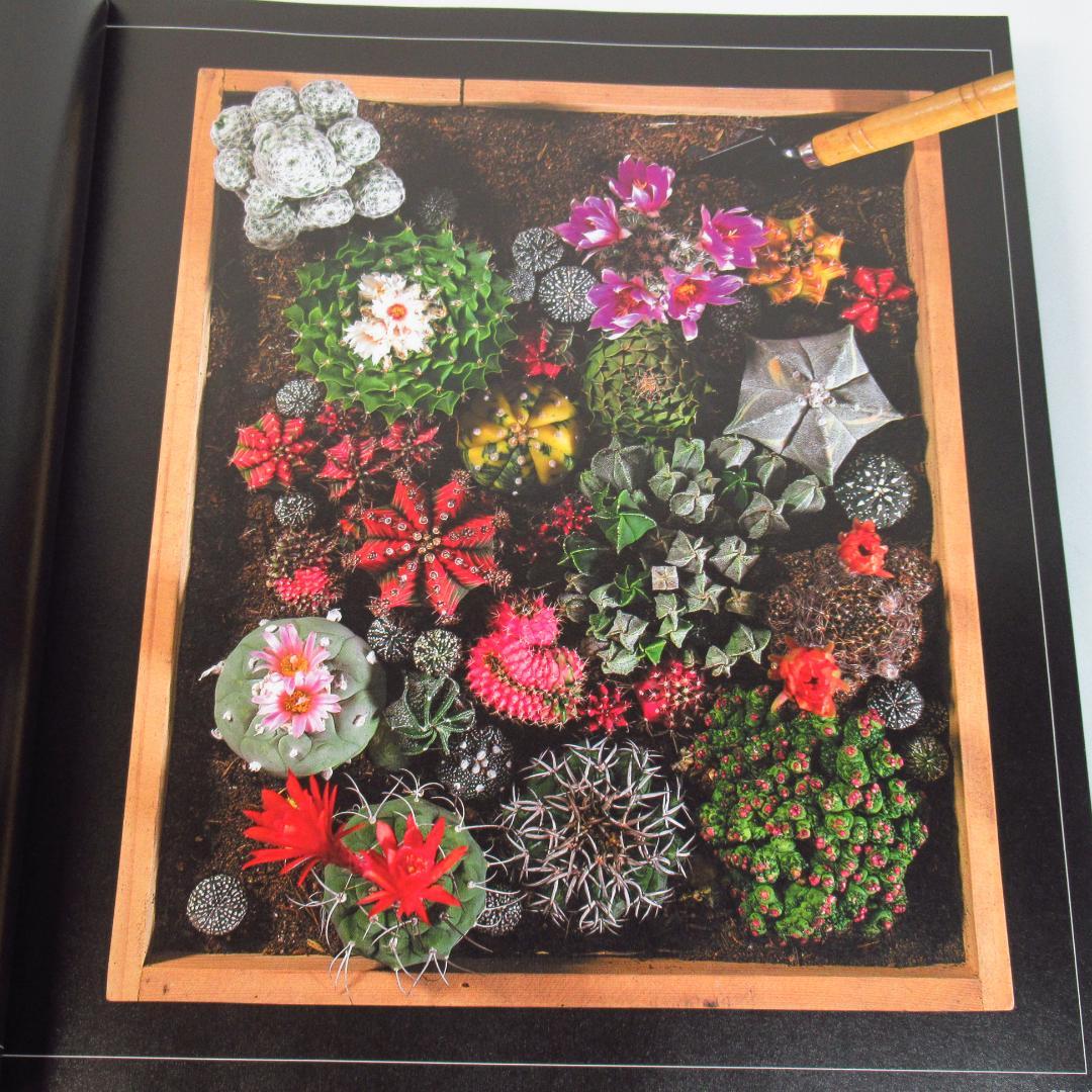 ひろ　サボテン全書 All about CACTUS 【貴重本 初版】