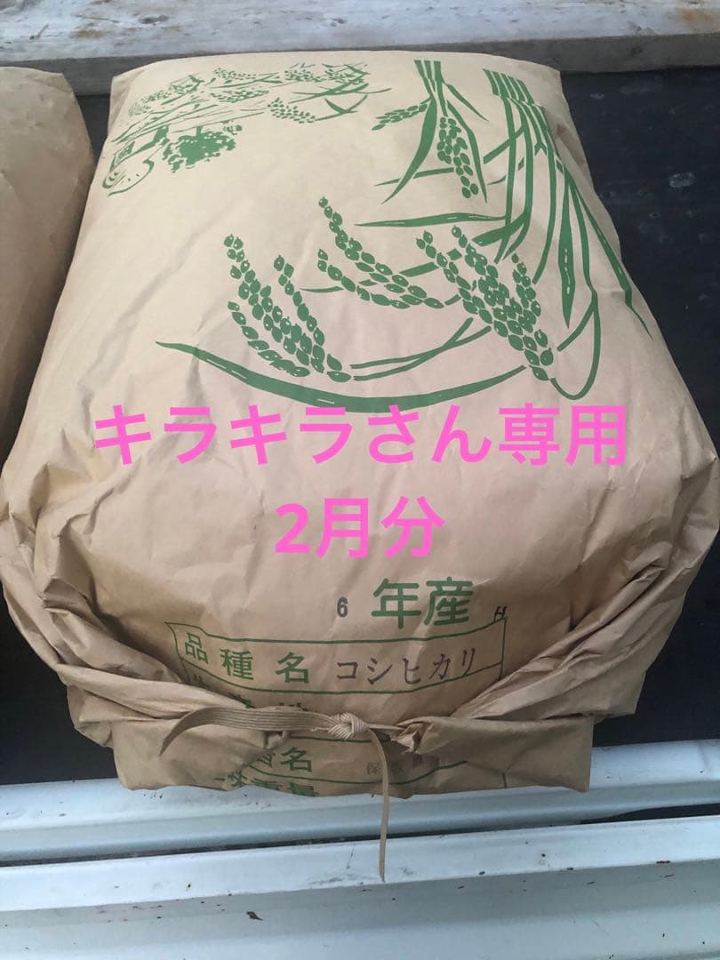 キラキラさん2月分