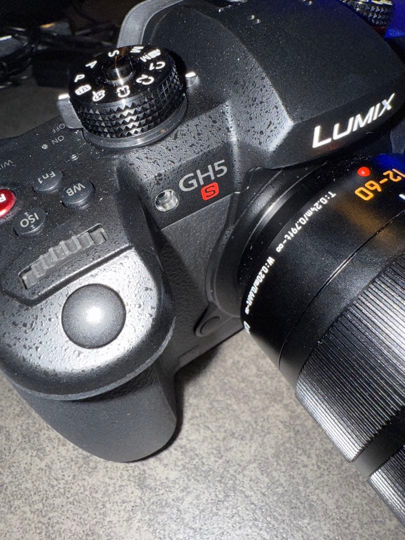 パナソニックLUMIX DC-GH5S 本体レンズセット