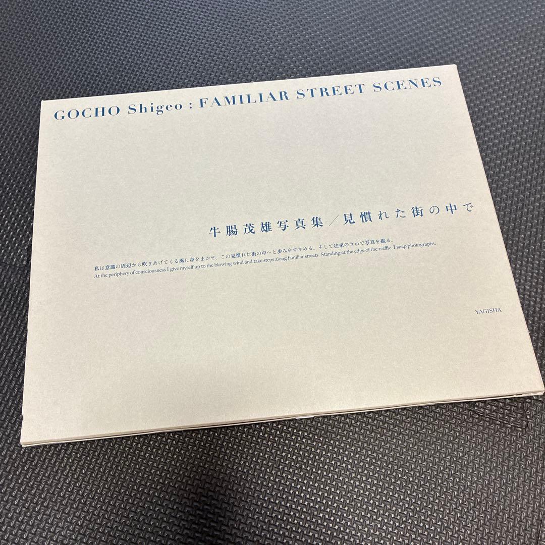 GOCHO Shigeo: FAMILIAR STREET SCENES牛腸茂雄