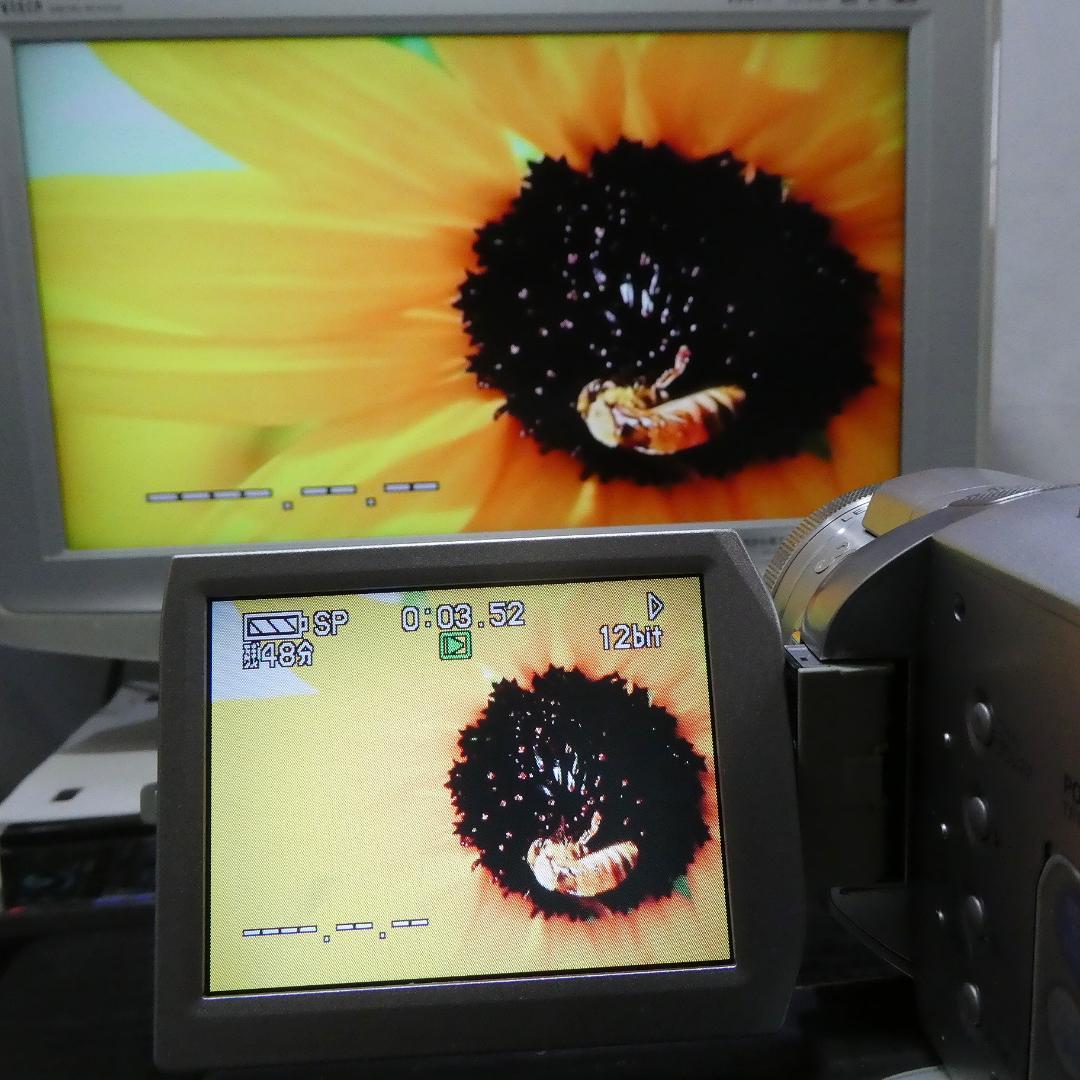 動作良好 パナソニック NV-GS400 MiniDVビデオDVDダビングに最適