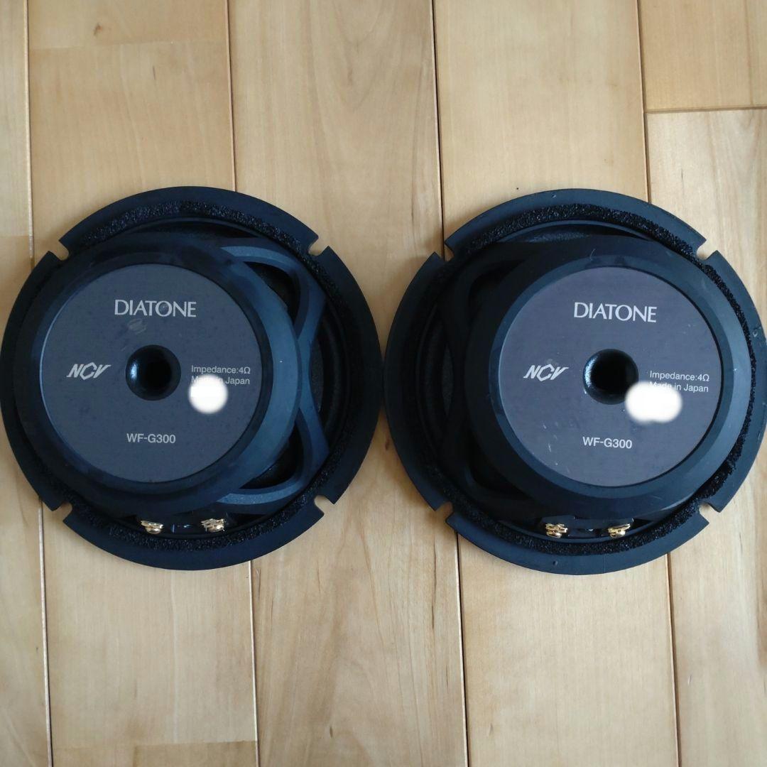 DIATONE DS-G300 一式