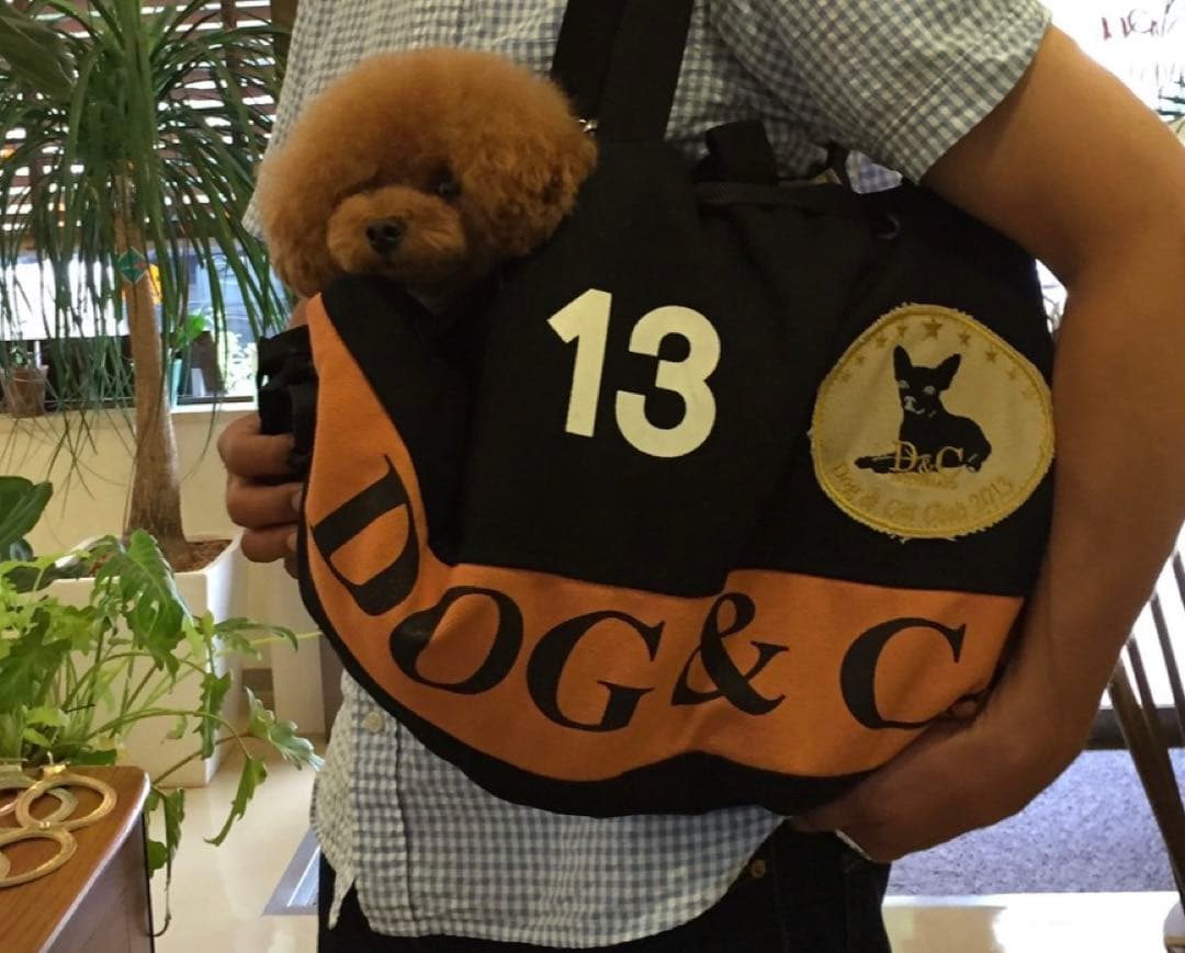 黒のファー付きキャリーバッグ