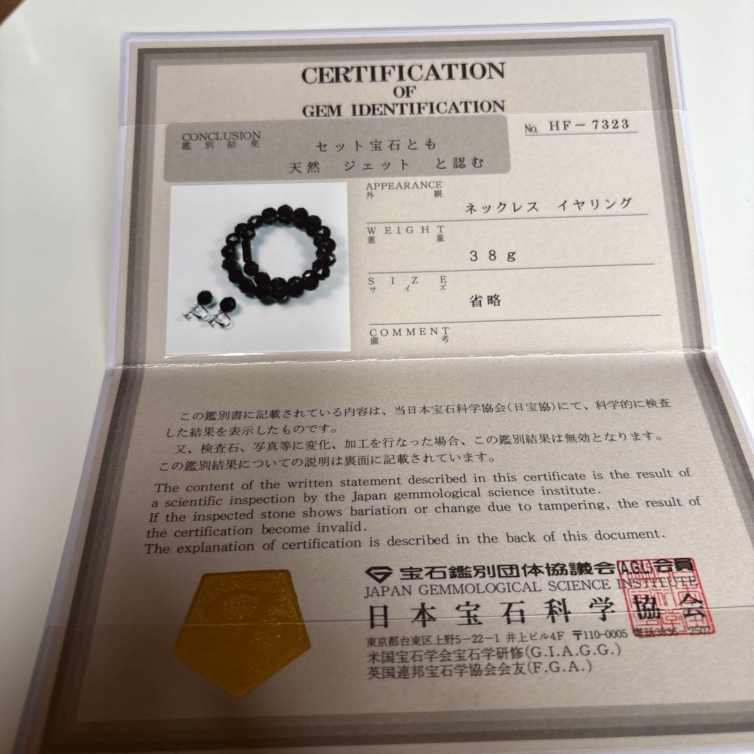 ジェット　ネックレスイヤリングセット