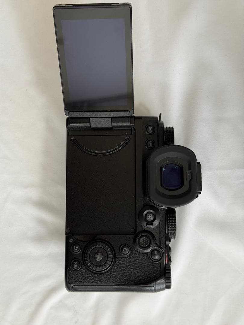 LUMIX s5Ⅱx 本体　純正バッテリー２つ