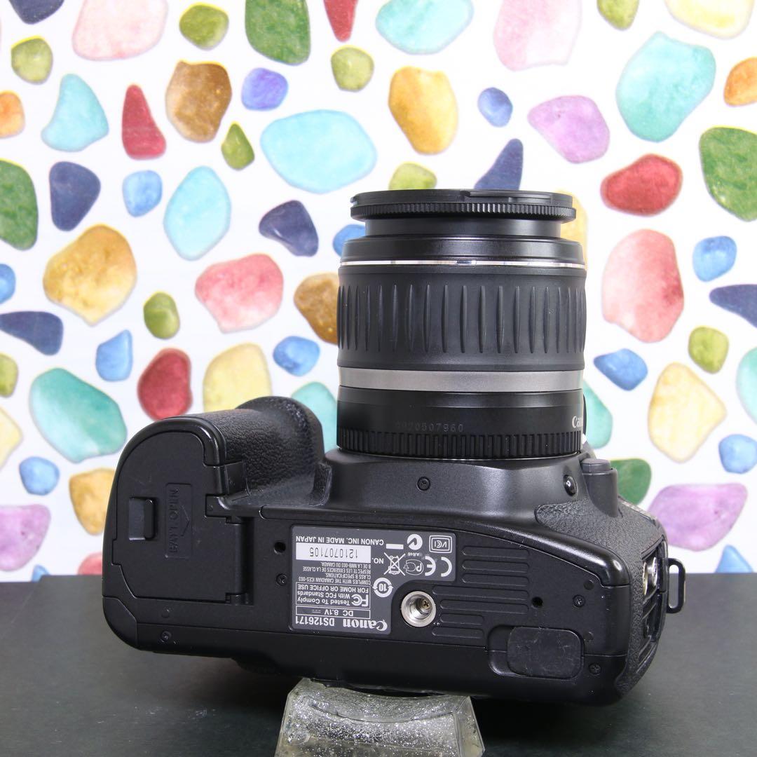 ♥︎◇Canon EOS 40D ◇おすすめ一眼レフ♪ ◇本格入門機♪