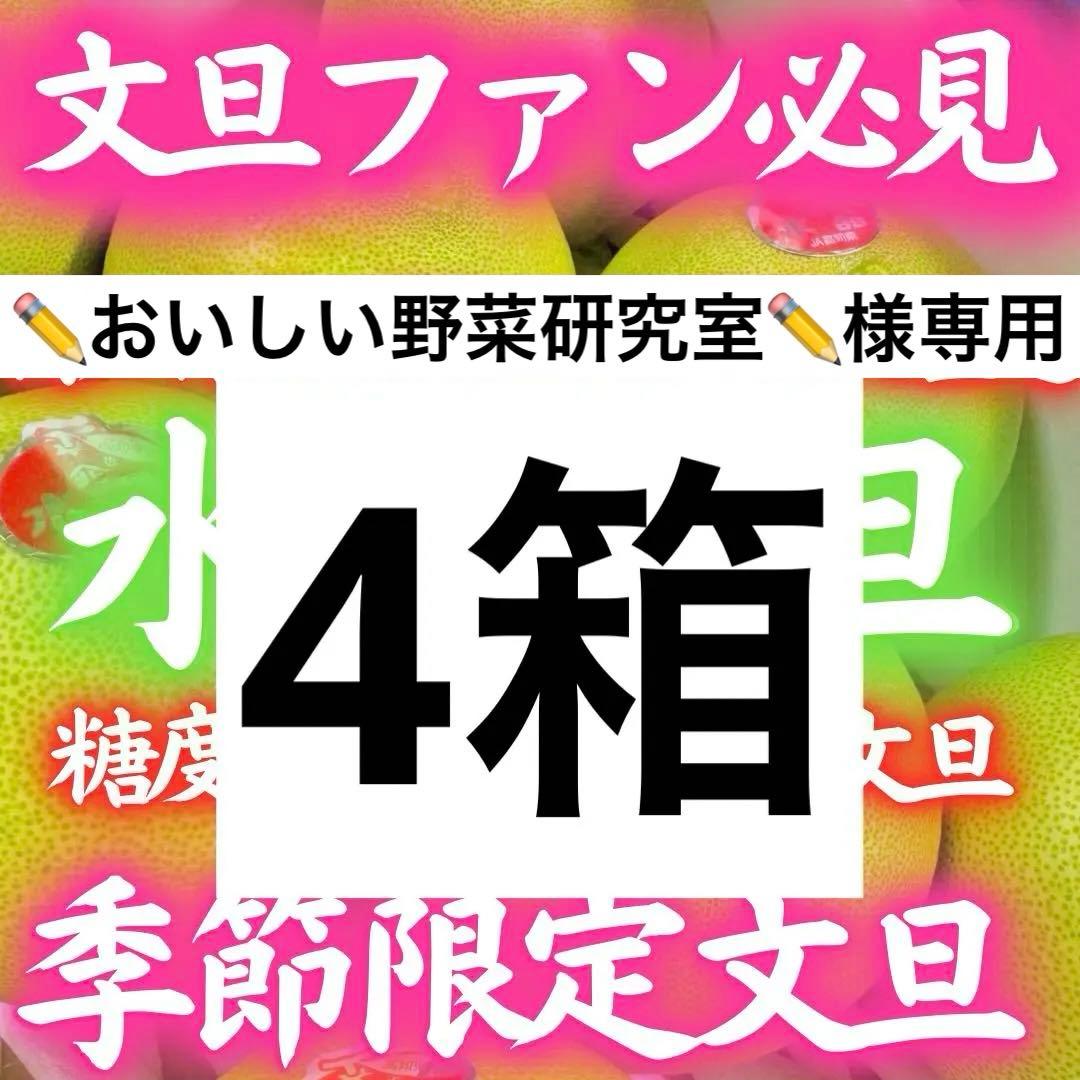 1高知特産 水晶文旦 8～6玉入 約3kg ×4箱文旦 産地直送 送料無料